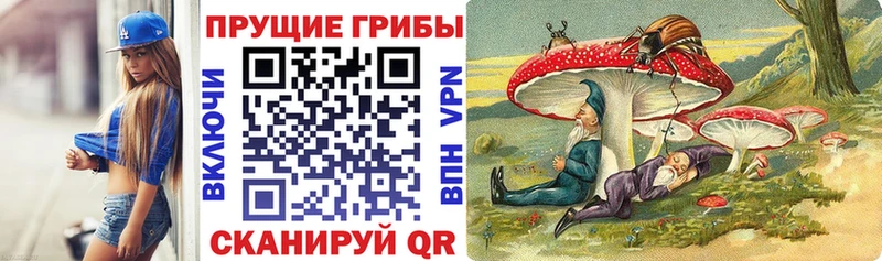 Галлюциногенные грибы GOLDEN TEACHER где можно купить наркотик Южноуральск