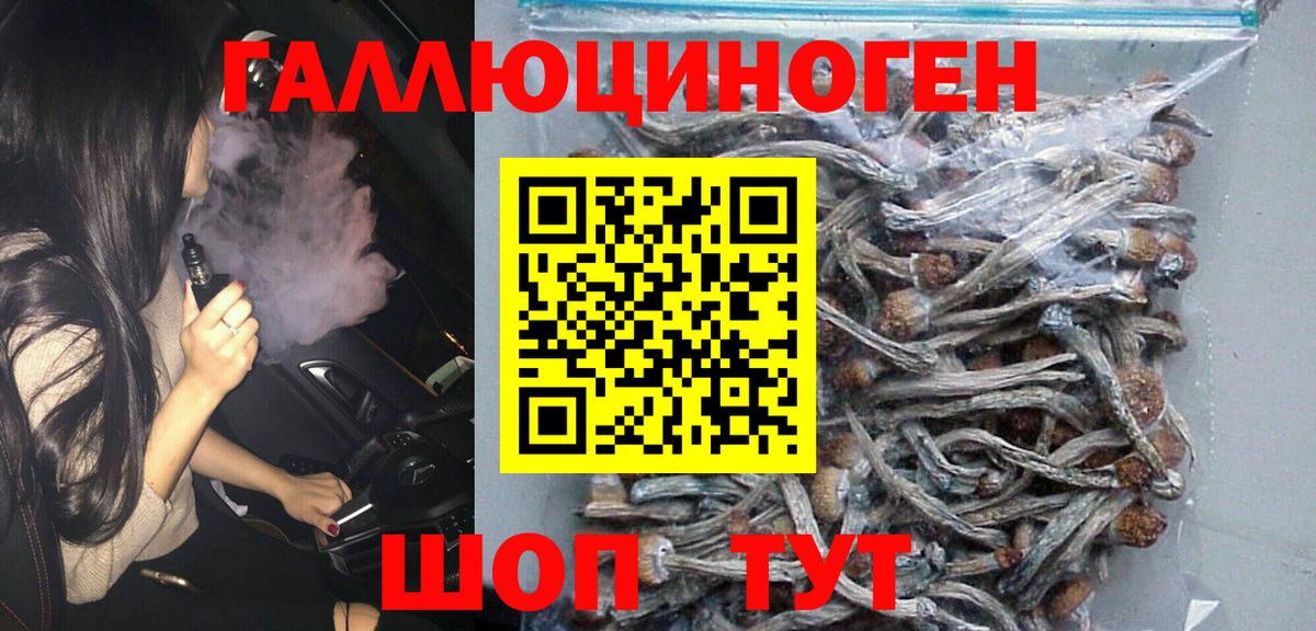 Псилоцибиновые грибы Psilocybine cubensis  Вход с VPN  Южноуральск 